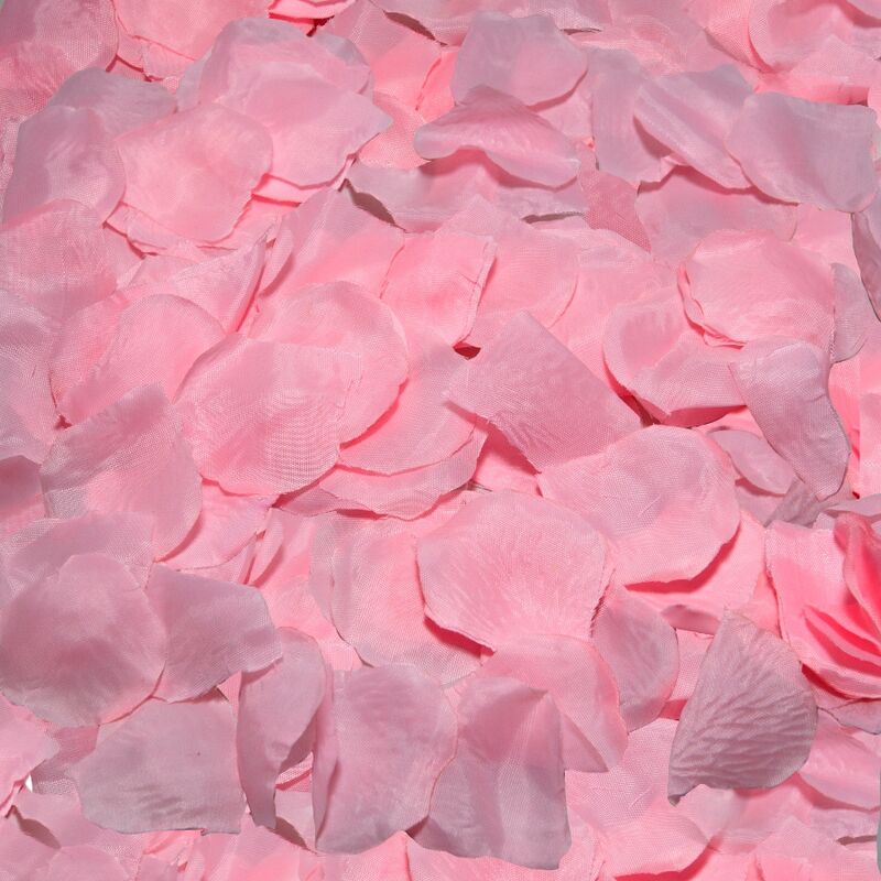DIABLO PICANTE – 100 ROSA BLÜTENBLÄTTER