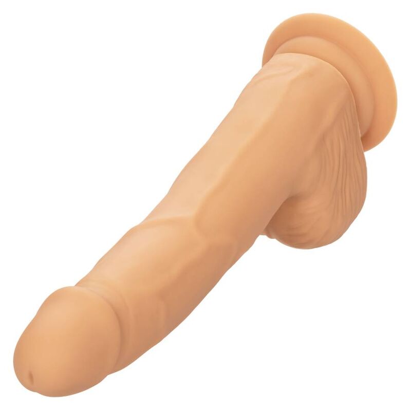 CALEXOTICS - BORCHIE IN SILICONE 20,32 CM PELLE