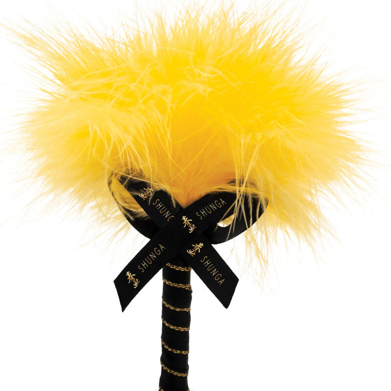 SHUNGA - KIT DI POLVERE DA MASSAGGIO COMMESTIBILI AL MANGO