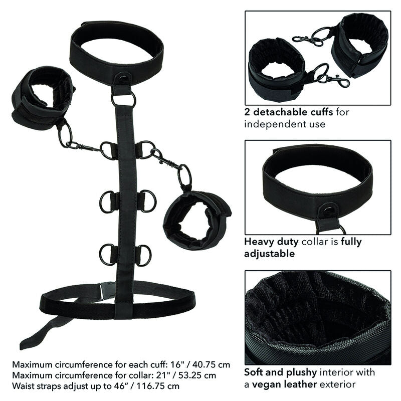 CALEXOTICS - BOUNDLESS COLLAR CORPO RESTRIZIONE