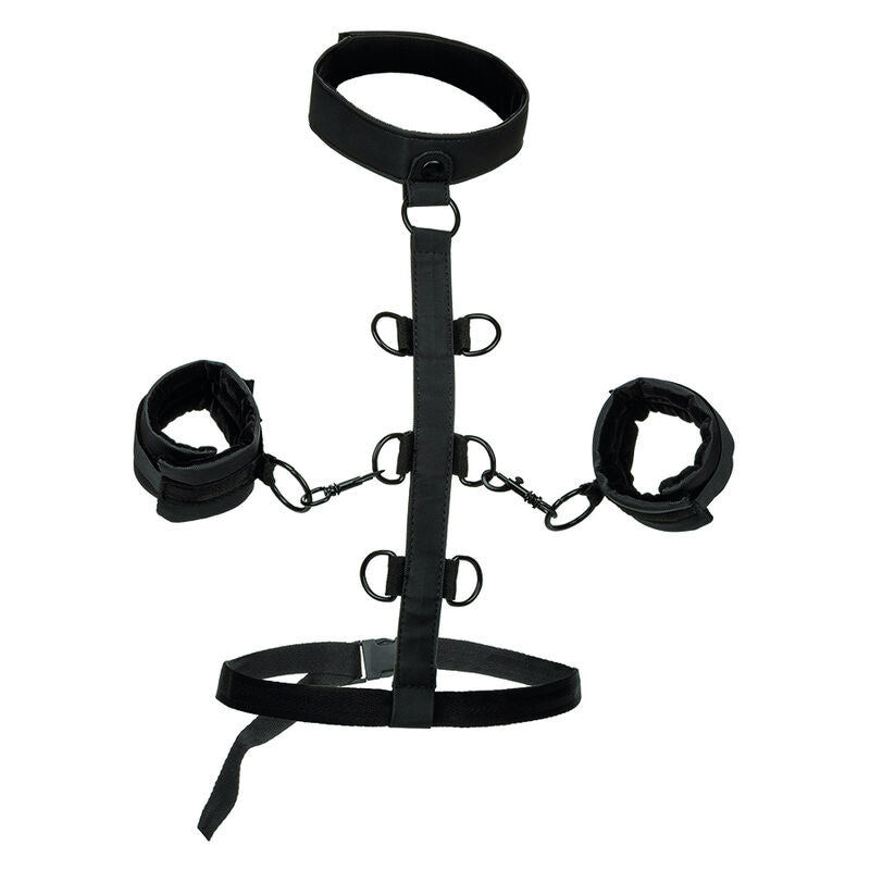 CALEXOTICS - BOUNDLESS COLLAR CORPO RESTRIZIONE