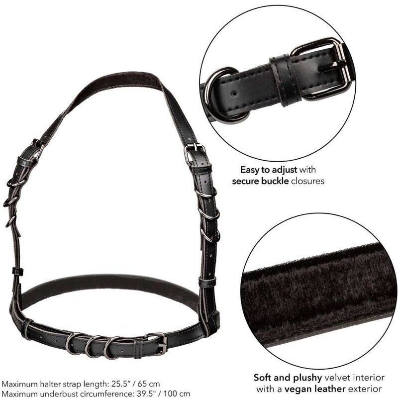 CALEXOTICS - IMBRACATURA CON FIBBIA A CAPPUCCIO EUPHORIA NERA