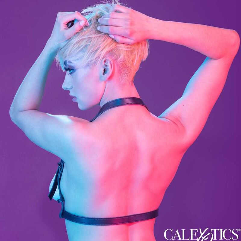 CALEXOTICS - IMBRACATURA CON FIBBIA A CAPPUCCIO EUPHORIA NERA