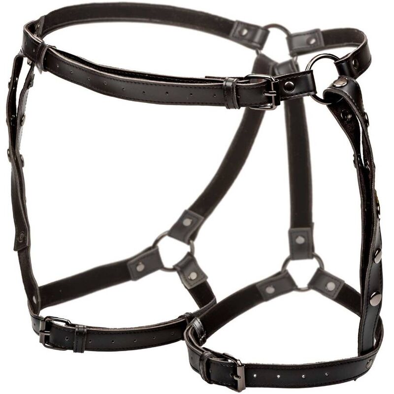 CALEXOTICS - EUPHORIA IMBRACATURA PER COSCE DA EQUITAZIONE TAGLIE FORTI