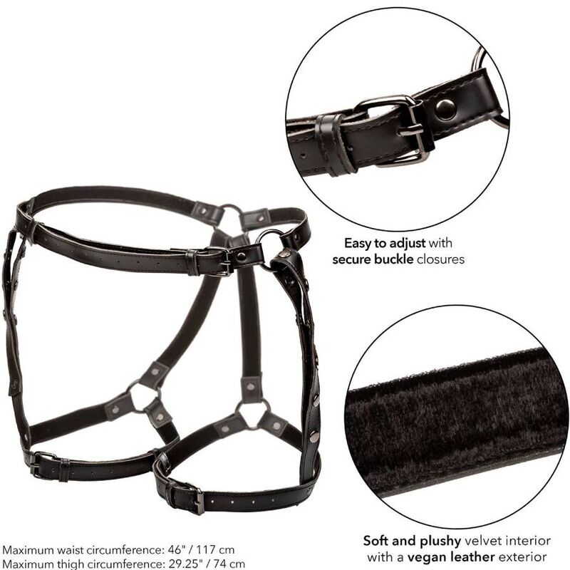 CALEXOTICS - EUPHORIA IMBRACATURA PER COSCE DA EQUITAZIONE TAGLIE FORTI