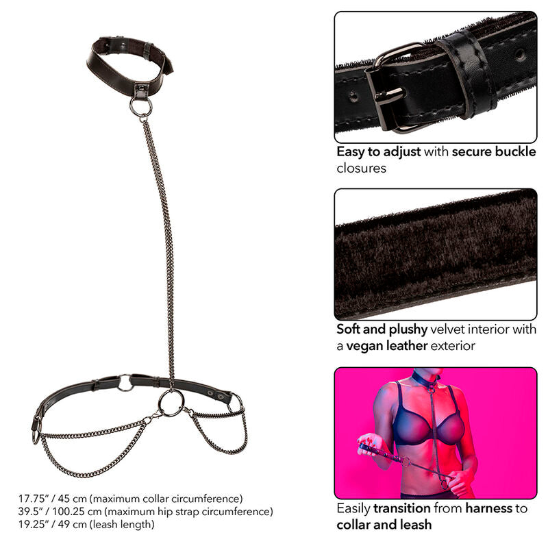 CALEXOTICS - EUPHORIA KETTENHALFTERHALSBAND &amp; LEINE