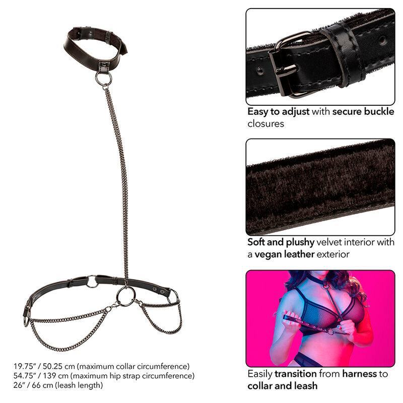 CALEXOTICS - EUPHORIA KETTEN-HALFTERHALSBAND &amp; LEINE ÜBERGRÖSSE