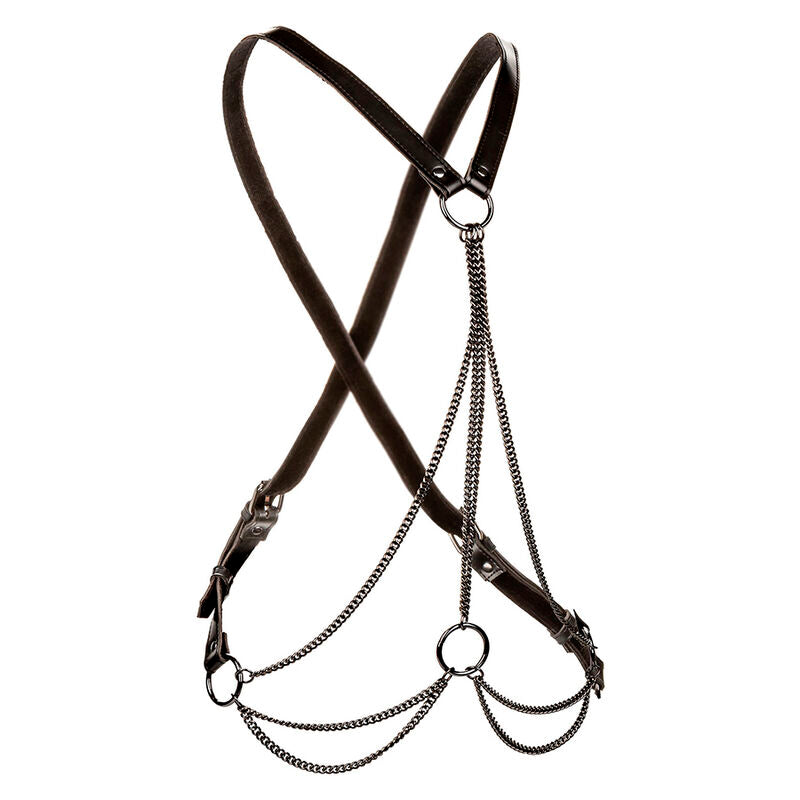 CALEXOTICS - EUPHORIA MULTICHAIN ​​HARNESS PREMIUM PLUS SIZE