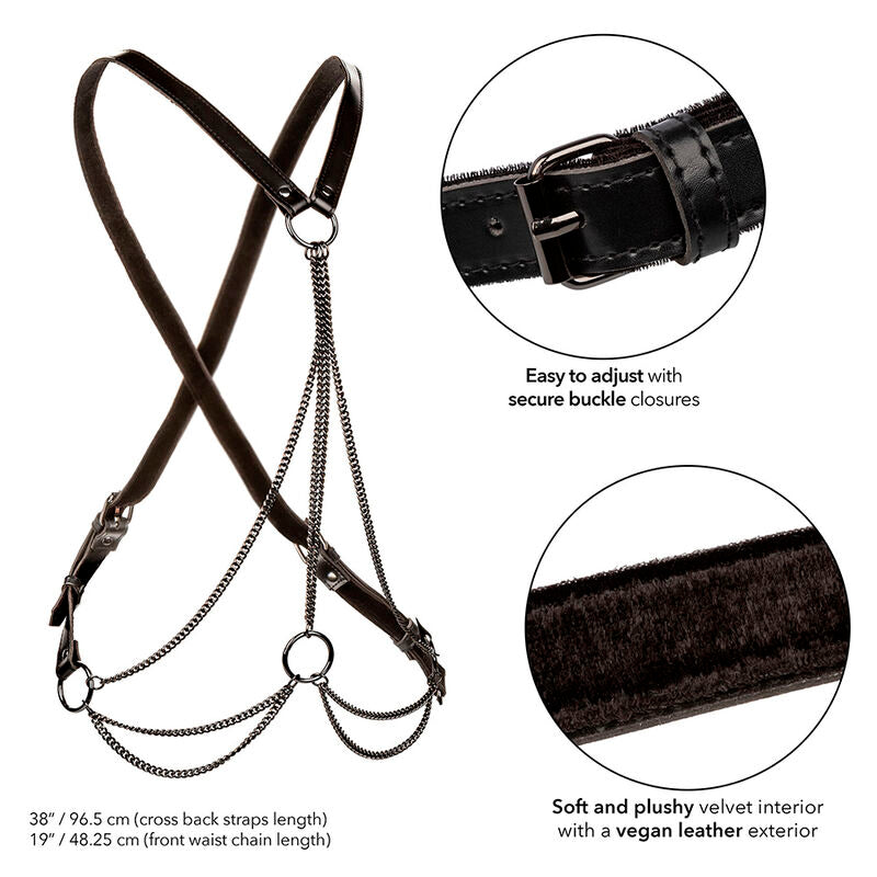 CALEXOTICS - EUPHORIA MULTICHAIN ​​HARNESS PREMIUM PLUS SIZE