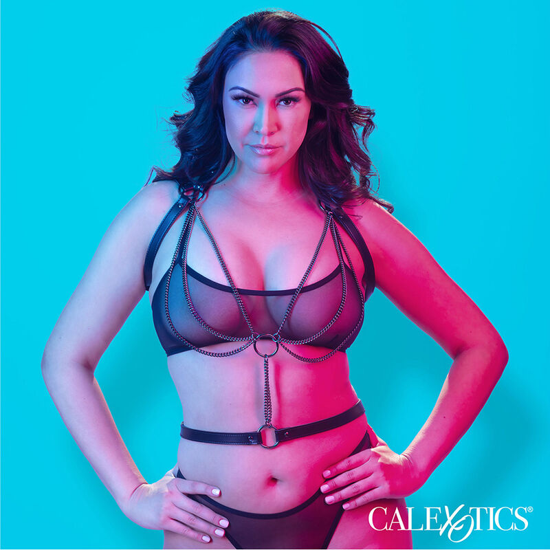 CALEXOTICS - EUPHORIA MEHRKETTEN-HALFTER-GESCHIRR PREMIUM-ÜBERGRÖSSE